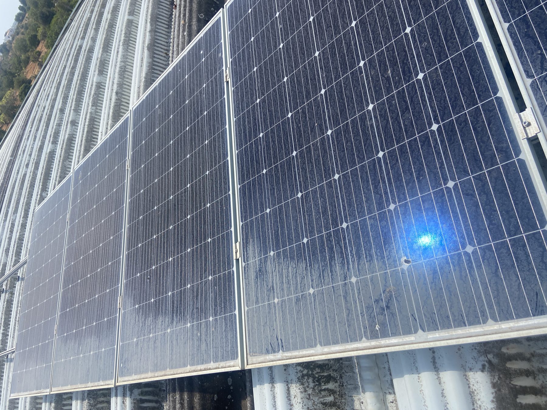 Solar panels before SolVivo clean